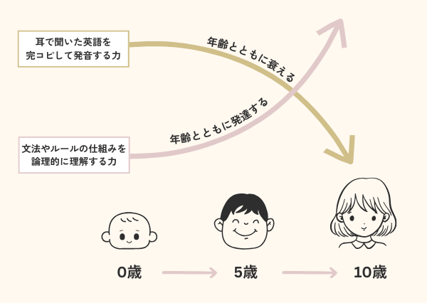子供 英語 いつから