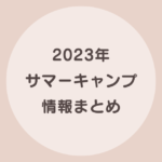 サマーキャンプ　国内