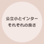 公立小学校 インタナショナルスクール 比較